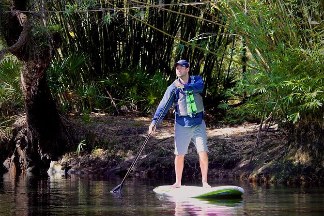 Cypress Forest Guided Kayak Nature Eco-Tour - Booking and Cancellation Policies