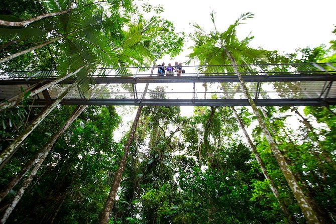 Daintree Discovery Centre Single Pass - Cancellation Policies