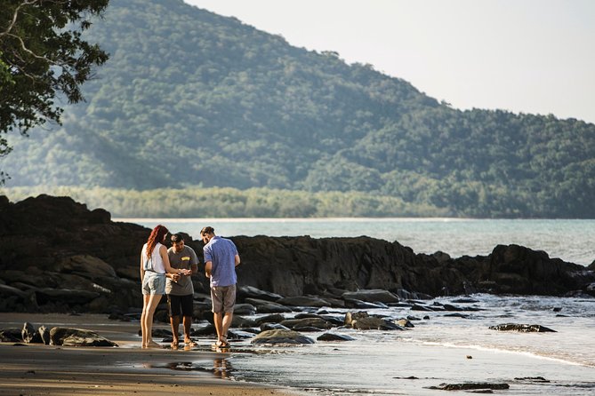 Daintree Park and Cape Tribulation With Aboriginal Guide (Mar ) - Cultural Insights
