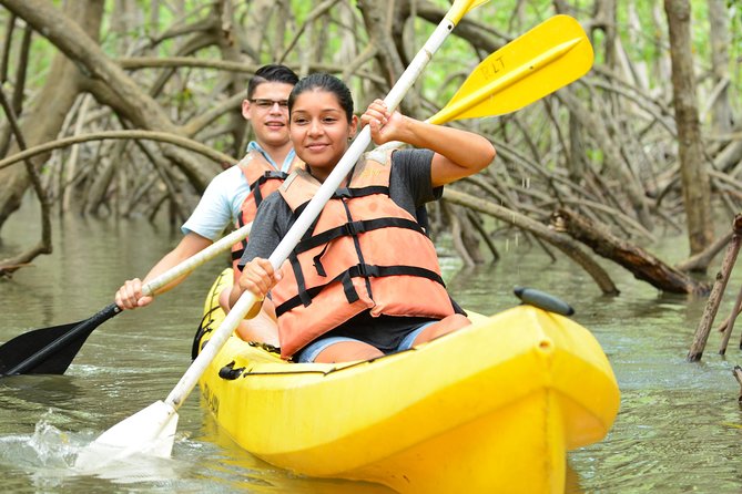 Damas Island Mangrove Kayaking Tour From Manuel Antonio - Booking Information