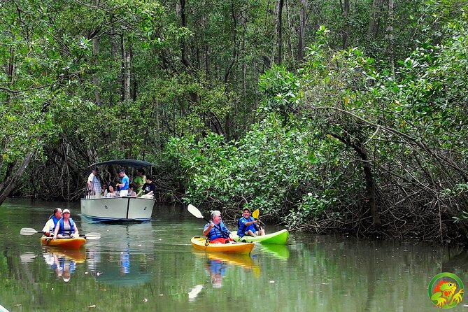 Damas Mangrove Boat Tour - Booking and Confirmation