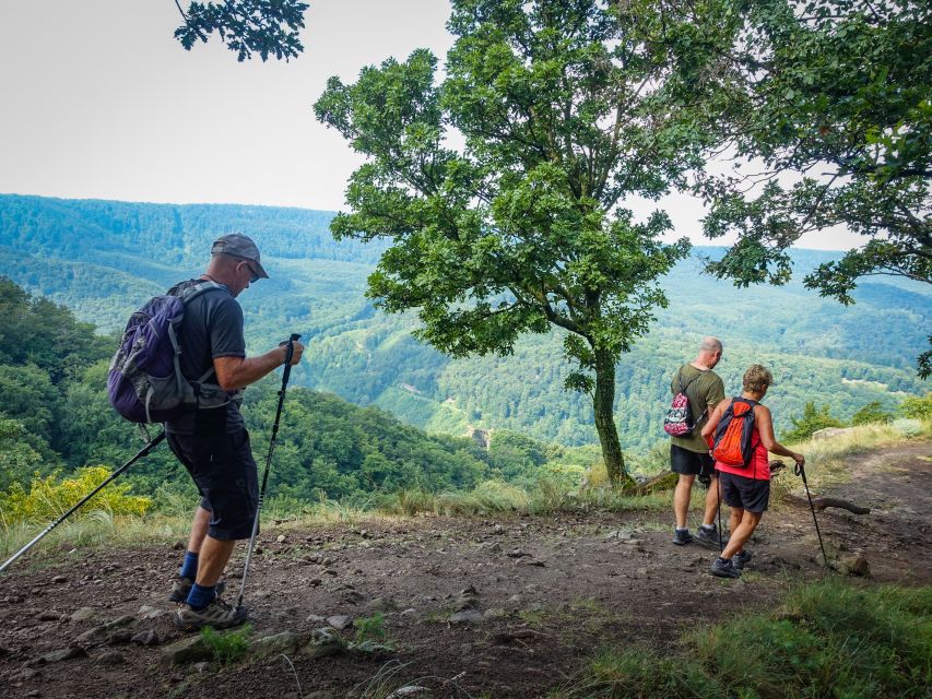 Danube Bend: Full-Day Hiking Tour From Budapest - Experience Highlights
