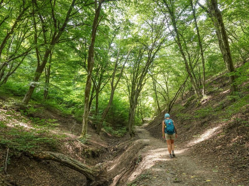 Danube Bend Hiking and Kayaking Adventure - Activity Highlights