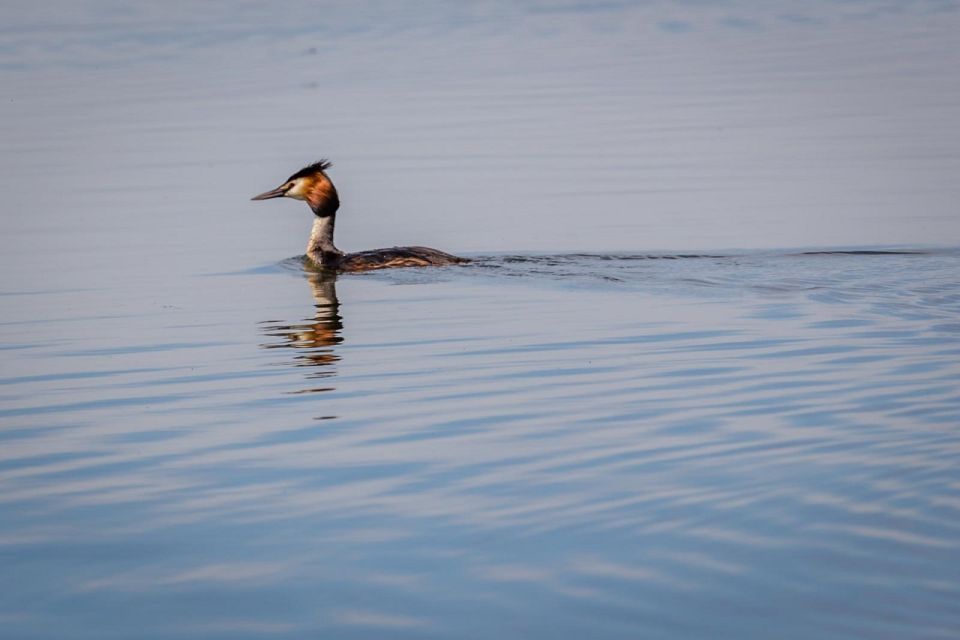 Danube Delta - 2-Day Tour From Bucharest - Itinerary Overview