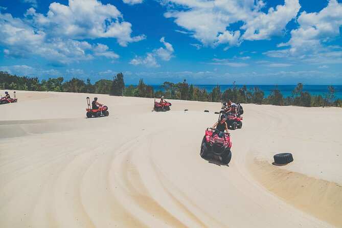 Day Cruise to Tangalooma Island Resort on Moreton Island - Experience Details