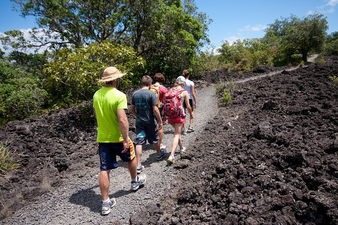 Day Sea Kayak Tour Rangitoto Island - Tour Inclusions