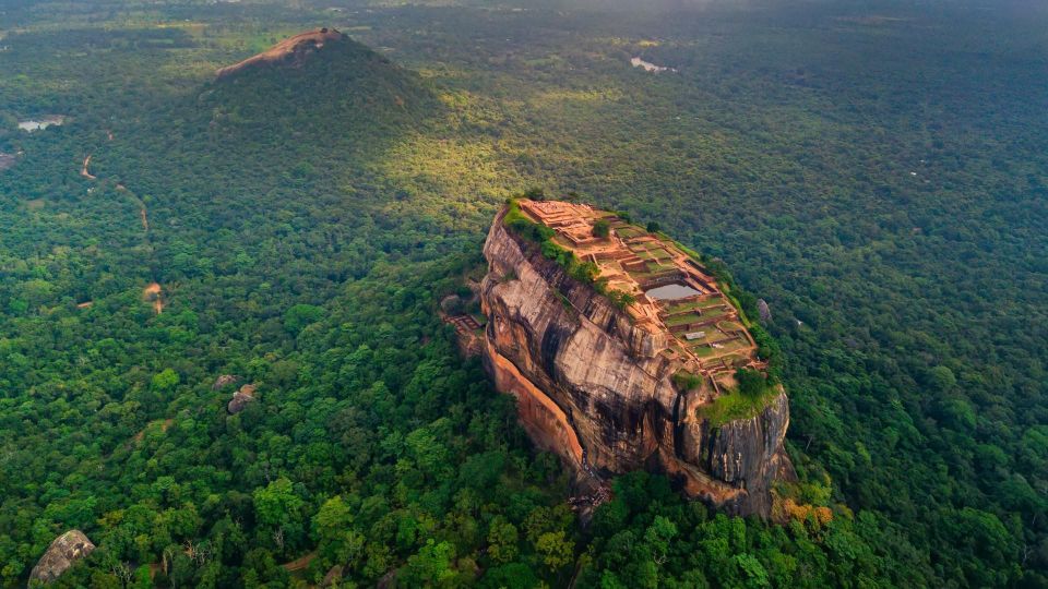 Day Tour: Kandy to Sigiriya Rock Dambulla & Minneriya Safari - Experience Highlights