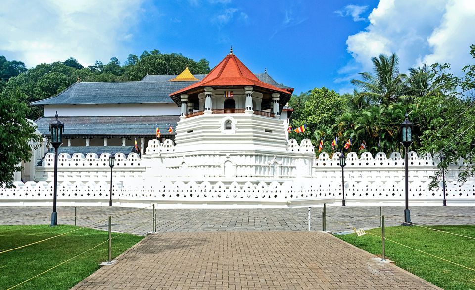 Day Tour To Kandy From Colombo - Tour Experience in Kandy