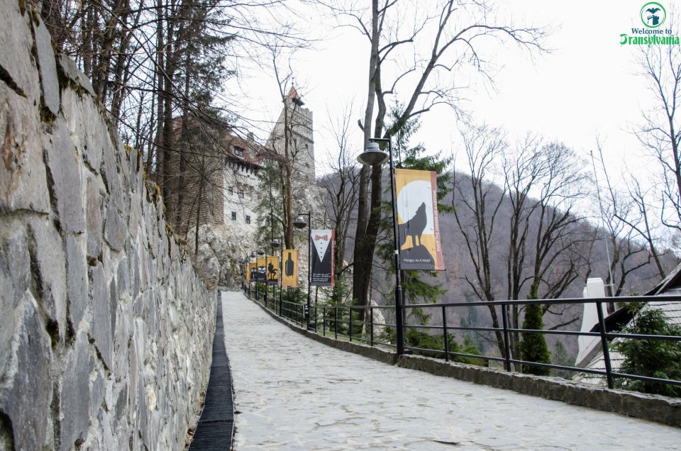 Day Trip Bran Castle, Rasnov Fortress and Bear Sanctuary - Key Points