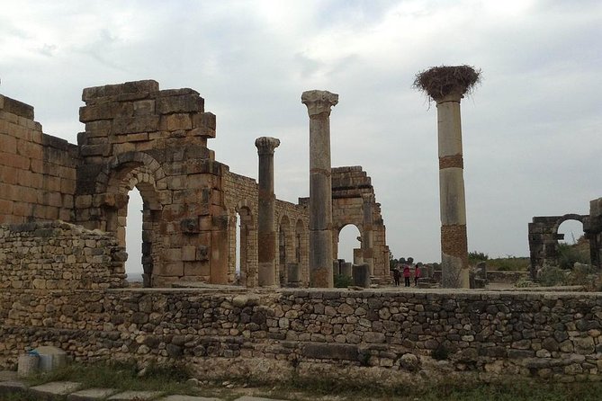 Day Trip From Fes to Volubilis Moulay Idriss & Meknes - Exploring Historical Wonders of Meknes