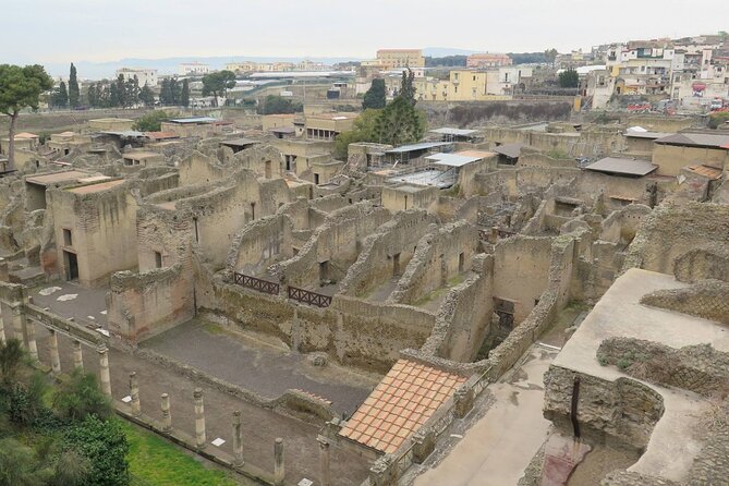 Day Trip of Pompeii, Herculaneum and Vesuvius From Naples - Booking Process and Pricing Information
