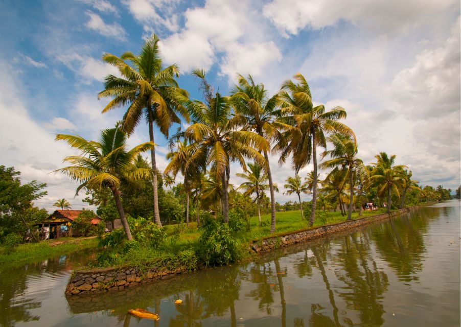 Day Trip to Alleppey With Backwater Experiences - Inclusions