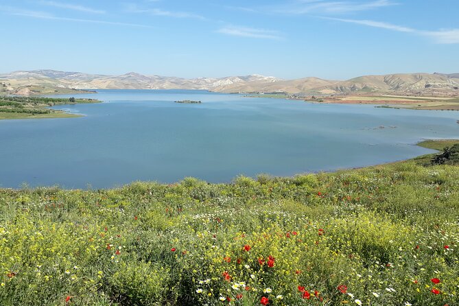 Day Trip to Chefchaouen From Fes Private /Small Group - Traveler Engagement