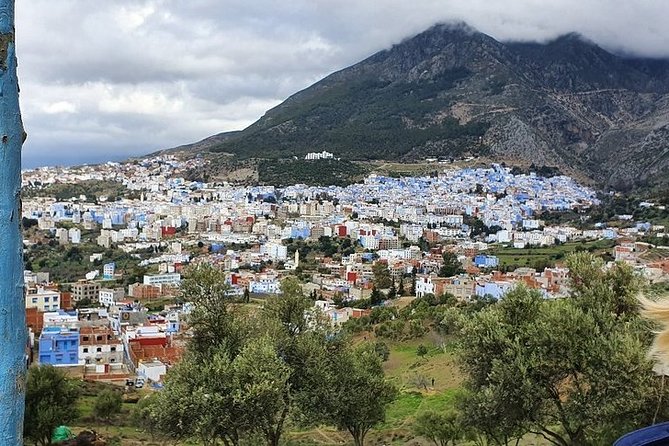 Day Trip to Chefchaouen the Blue City - Positive Feedback on Chefchaouen Tour