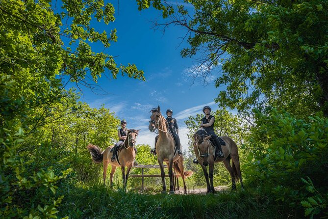 Day Trip to Fontainebleau : Horse Riding, Gastronomy and Castle - Horse Riding Experience