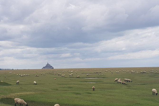 Day Trip to Mont Saint-Michel and Saint-Malo From Rennes With Driver-Guide - Traveler Resources