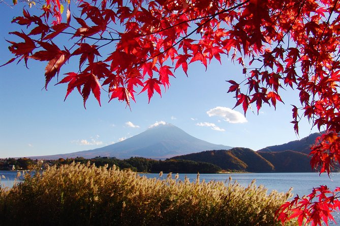 Day Trip to Mt. Fuji, Kawaguchiko and Mt. Fuji Panoramic Ropeway - Customer Feedback and Service