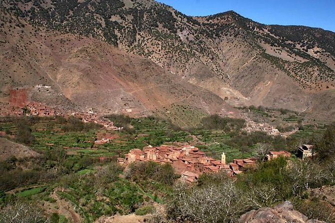 Day Trip:Berber Villages and 4 Valleys Atlas Mountains &Waterfu L& Camel Ride - Local Berber Experiences