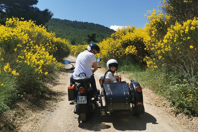 Day: Wine-Tour in Provence - Traveler Photos