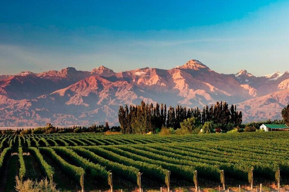 Daytour to Mendoza Wineries - Tour Details and Inclusions