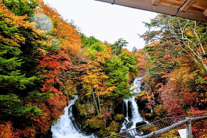 Daytrip to Nikko From Tokyo With Local Japanese Photograher Guide - Benefits of a Local Guide
