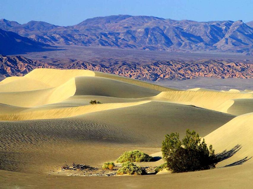 Death Valley: Full–Day Tour From Las Vegas - Experience Highlights