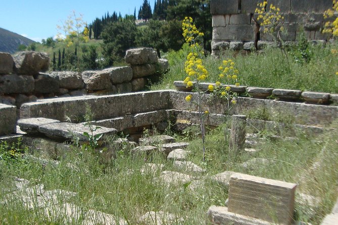 Delphi Self-Guided Audio Tour on Your Phone (No Ticket) - Smartphone Compatibility