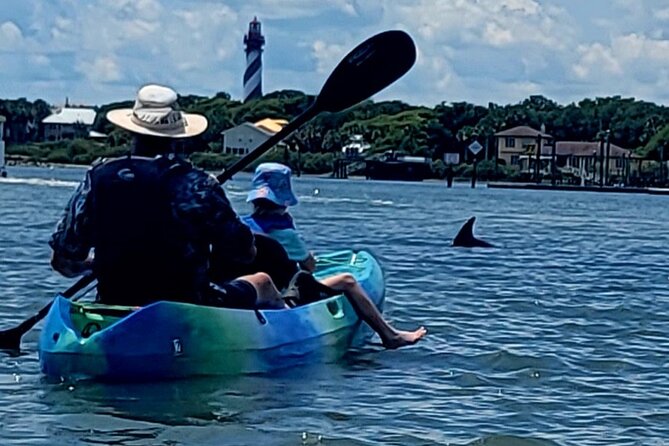 Deluxe Dolphin Kayak Tour - Guide Praise and Wildlife Sightings