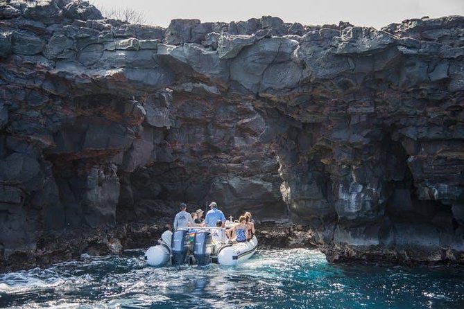 Deluxe Morning Snorkeling Adventure - Wildlife Sightings