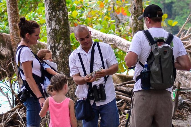 Deluxe Private Manuel Antonio Park Tour - Pickup Information