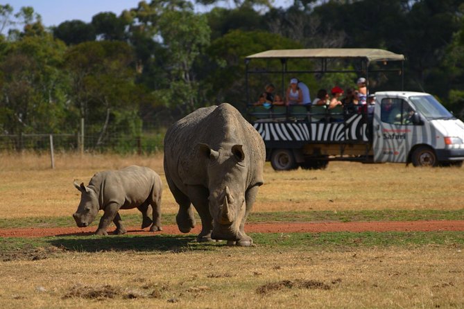 Deluxe Safari Adventure at Werribee Open Range Zoo - Excl. Entry - Visitor Tips and Reviews