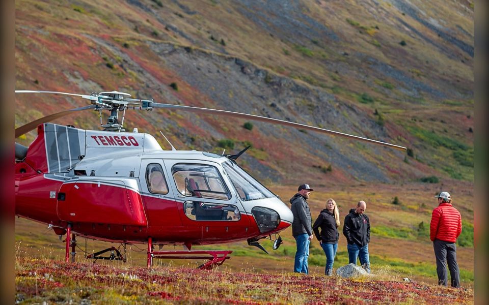 Denali National Park: Helicopter and Hike Adventure - Experience Highlights