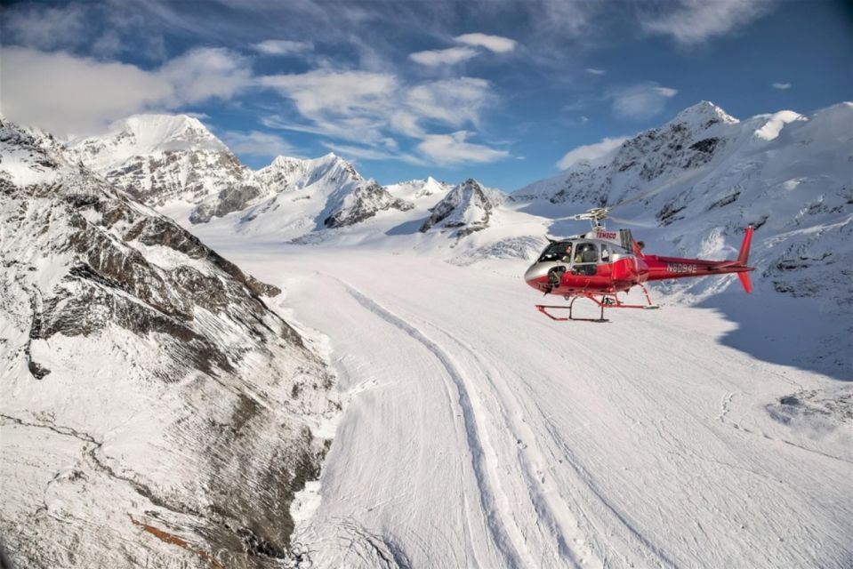 Denali National Park: Helicopter Flight With Glacier Landing - Experience Highlights
