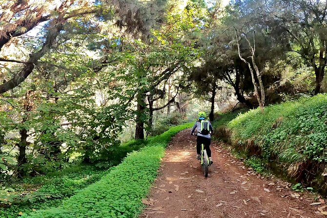 Descend in Mountain Bike in Northern Forests of Gran Canaria - Trail Difficulty Levels