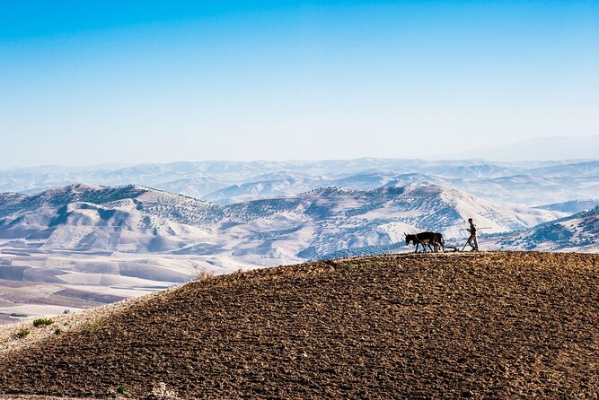 Desert Agafay & Atlas Mountains, Valleys & Waterfalls Tour From Marrakech - Customer Reviews