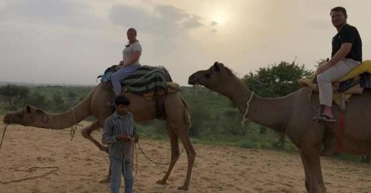 Desert Camel Safari Day Tour In Jodhpur - Duration and Inclusions