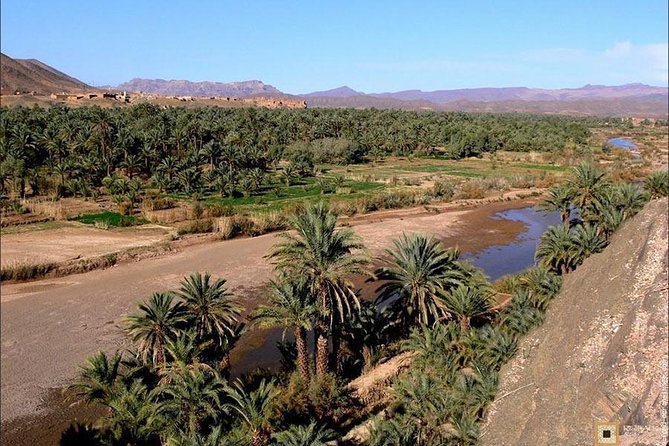 Desert Odyssey: a 2-Day Journey From Marrakech to Zagora - Desert Activities