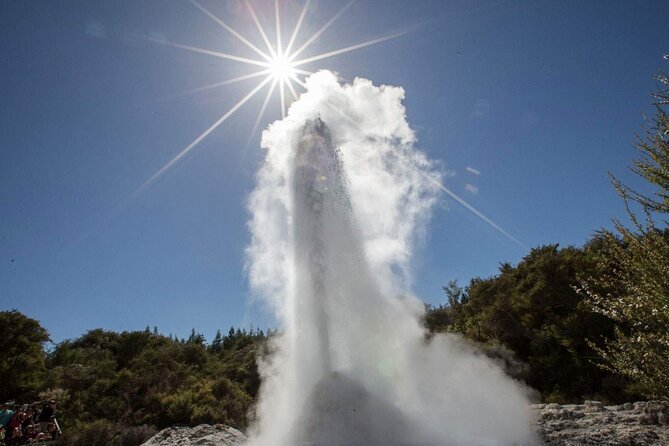 Devils Bath Experience - Private Tour to Wai-O-Tapu & Lake Taupo - Booking Information