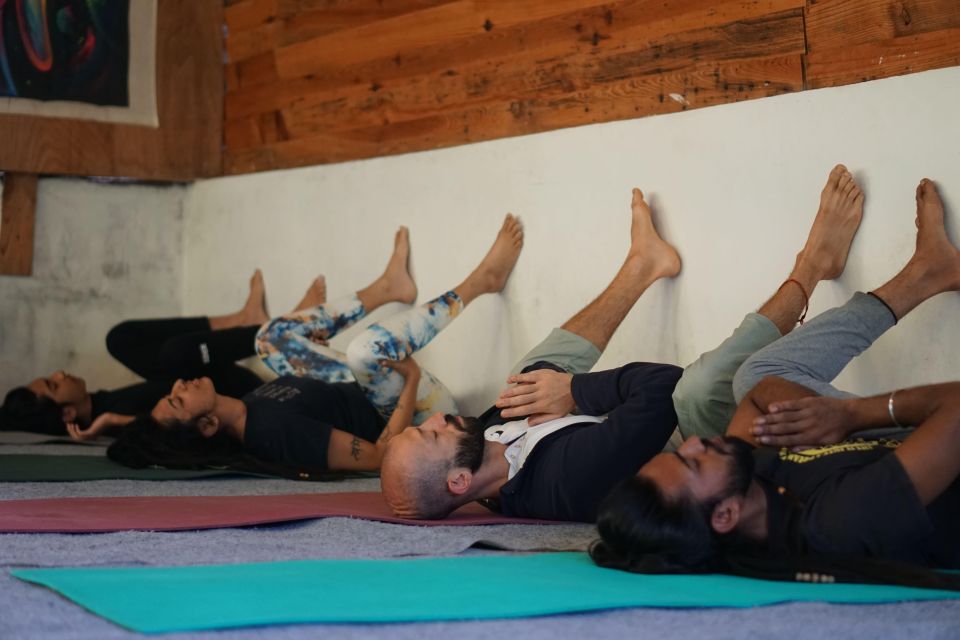 Dharamshala: "Nature to Nutrition" Gut Health Retreat - Experience and Activities