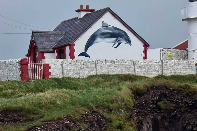 Dingle Bay Cliff Tour - Verified Customer Reviews and Ratings