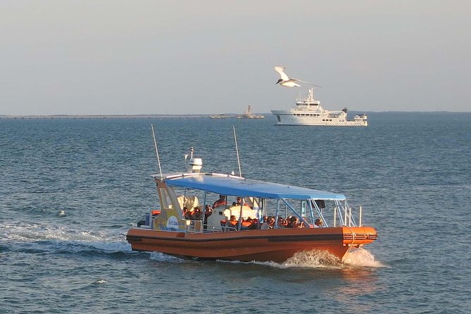 Discover Darwin Harbour 1 Hour Darwin Harbour Cruise - Booking and Logistics
