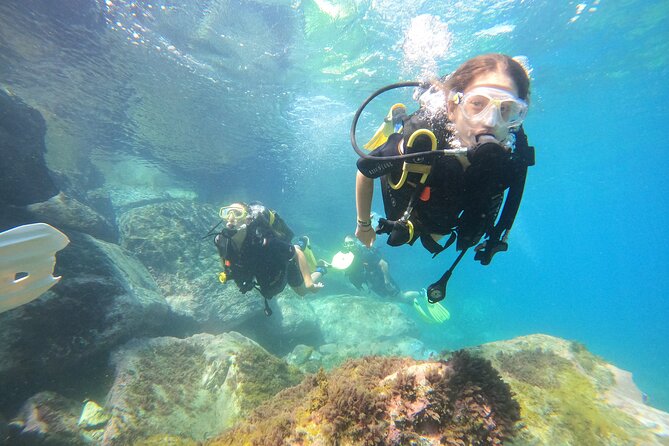 Discover Scuba Dive in Gran Canaria - Participant Information