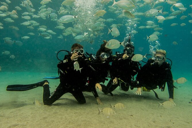Discover Scuba Diving - Booking and Confirmation Details