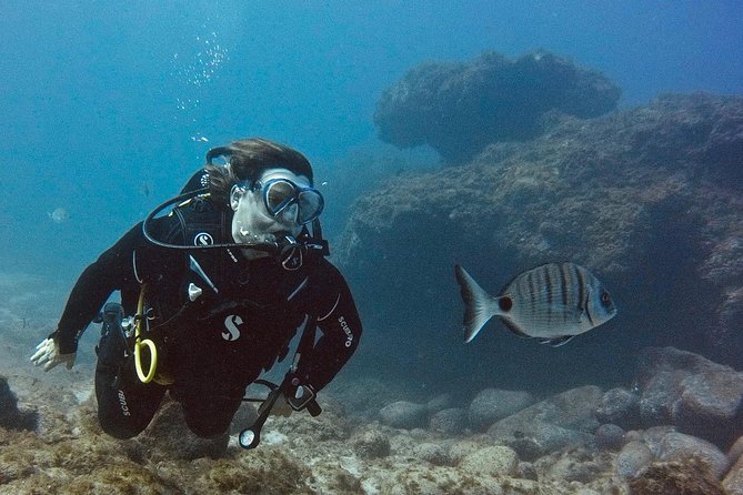 DISCOVER SCUBA DIVING - First Step to Your Certification - Participant Information