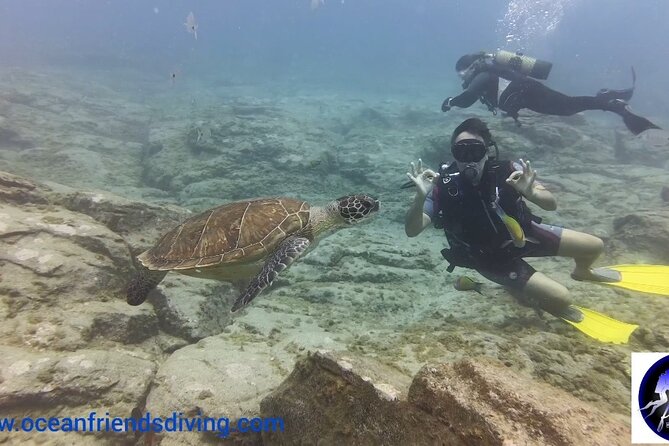 Discover Scuba Diving, Free Pictures Included - Equipment Provided