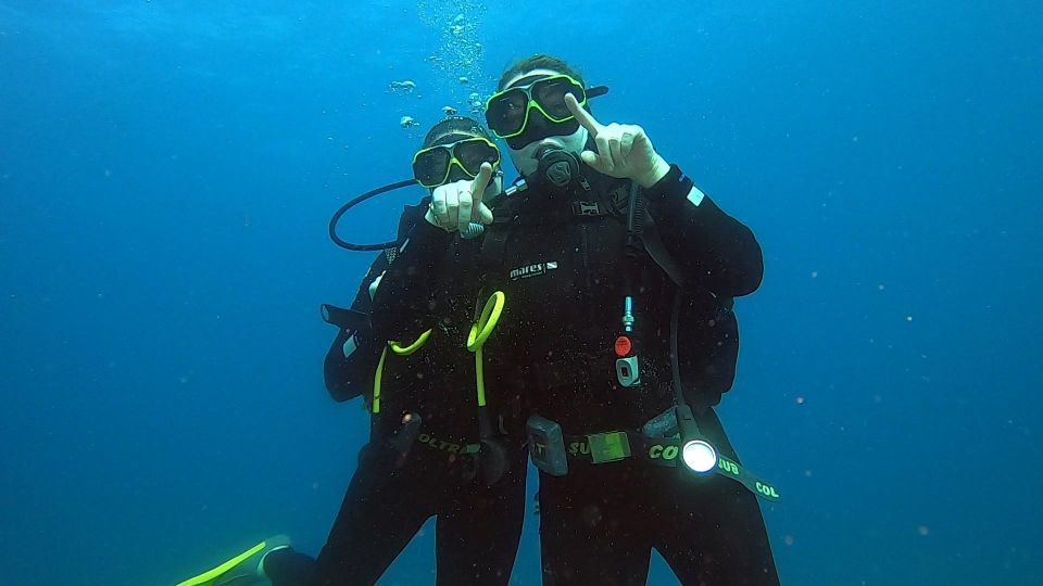 Discover Scuba Diving Program for Beginners - Experience and Learning