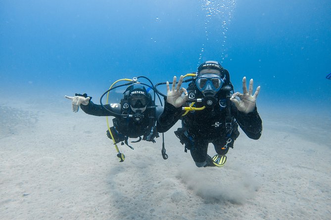 Discover the Underwater World of Lanzarote - Experience Professional Guided Dives