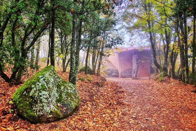 Discover the Unique Wine and Villages of the Sierra De Salamanca - Lunch at Michelin Guide Restaurant