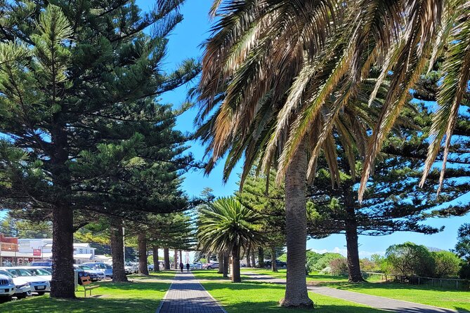 Discover Victor Harbor Walking Tour - Meeting Point