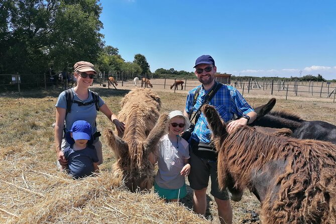 Discovery Day in the Footsteps of the Poitou Donkey - Guided Tours and Itinerary Details